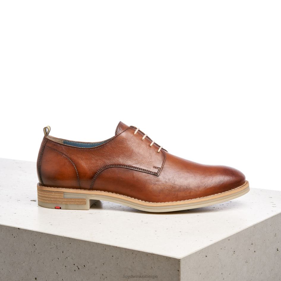dakota Heren LLOYD bruin schoenen ZJ6BL608