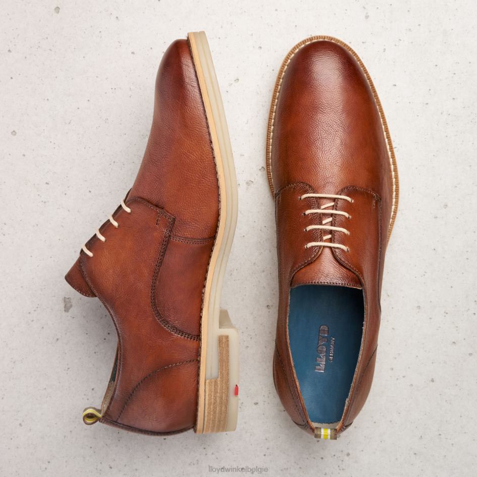 dakota Heren LLOYD bruin schoenen ZJ6BL608