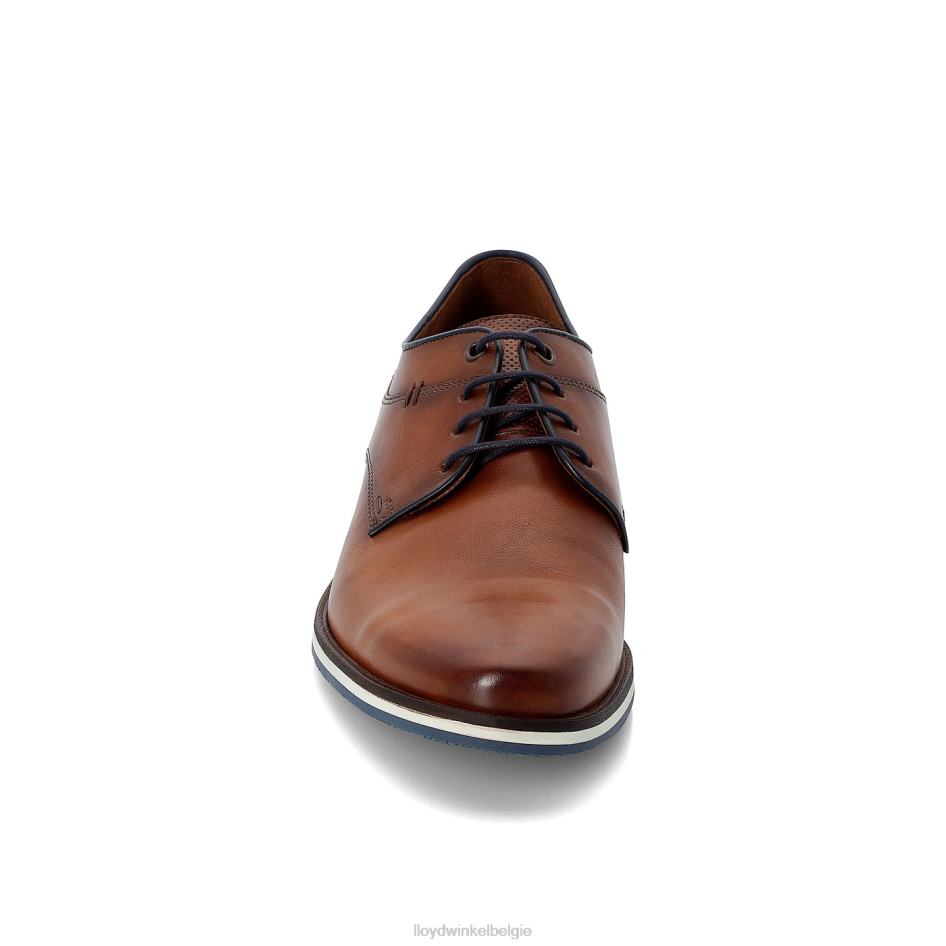 danjaan Heren LLOYD bruin schoenen ZJ6BL609