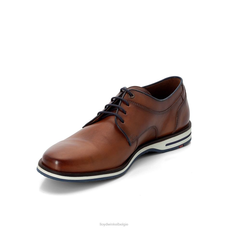 danjaan Heren LLOYD bruin schoenen ZJ6BL609