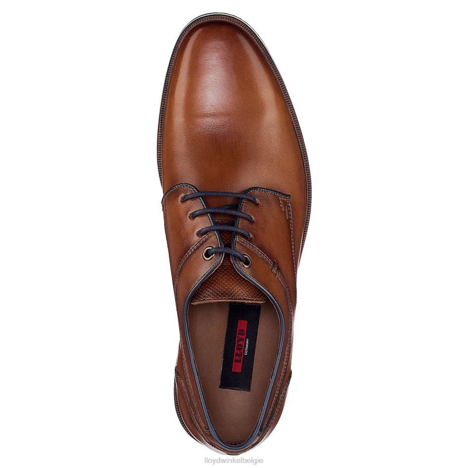 danjaan Heren LLOYD bruin schoenen ZJ6BL609