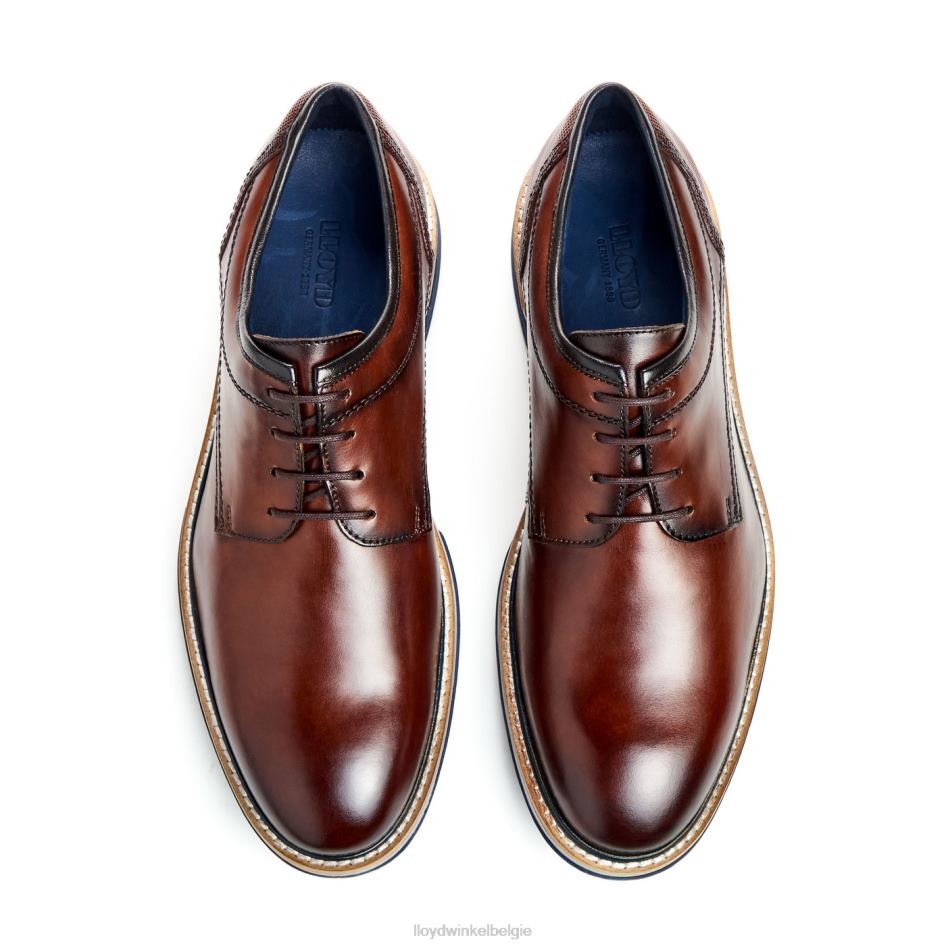 dero Heren LLOYD bruin schoenen ZJ6BL45