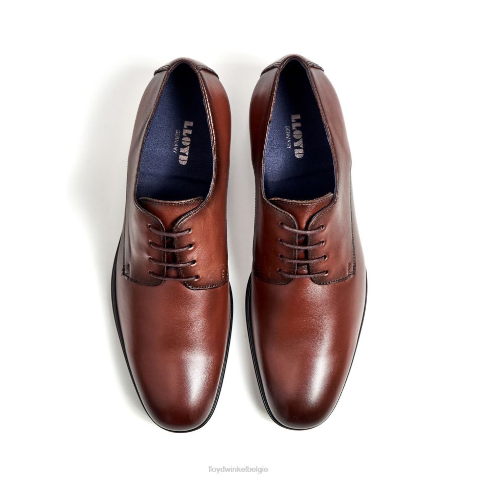 fonda Heren LLOYD bruin schoenen ZJ6BL13