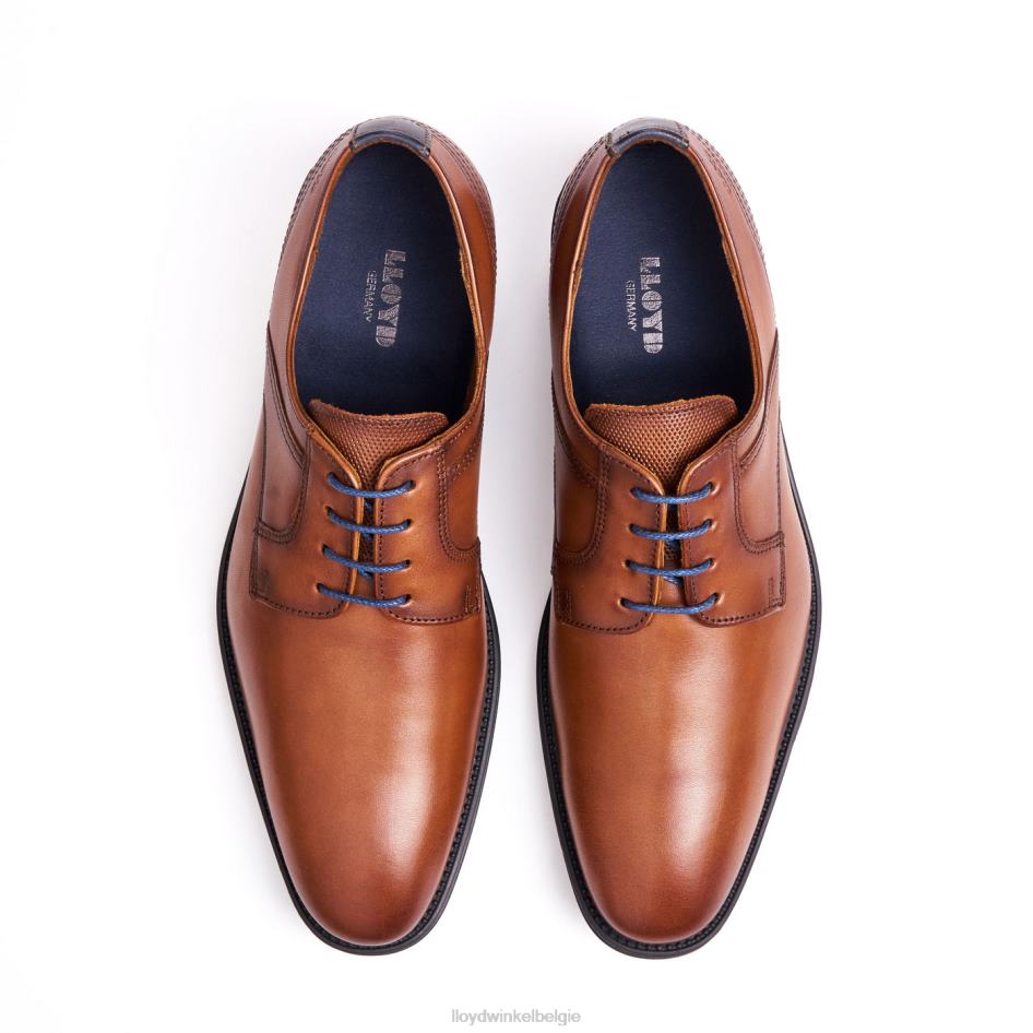 gala Heren LLOYD bruin schoenen ZJ6BL102