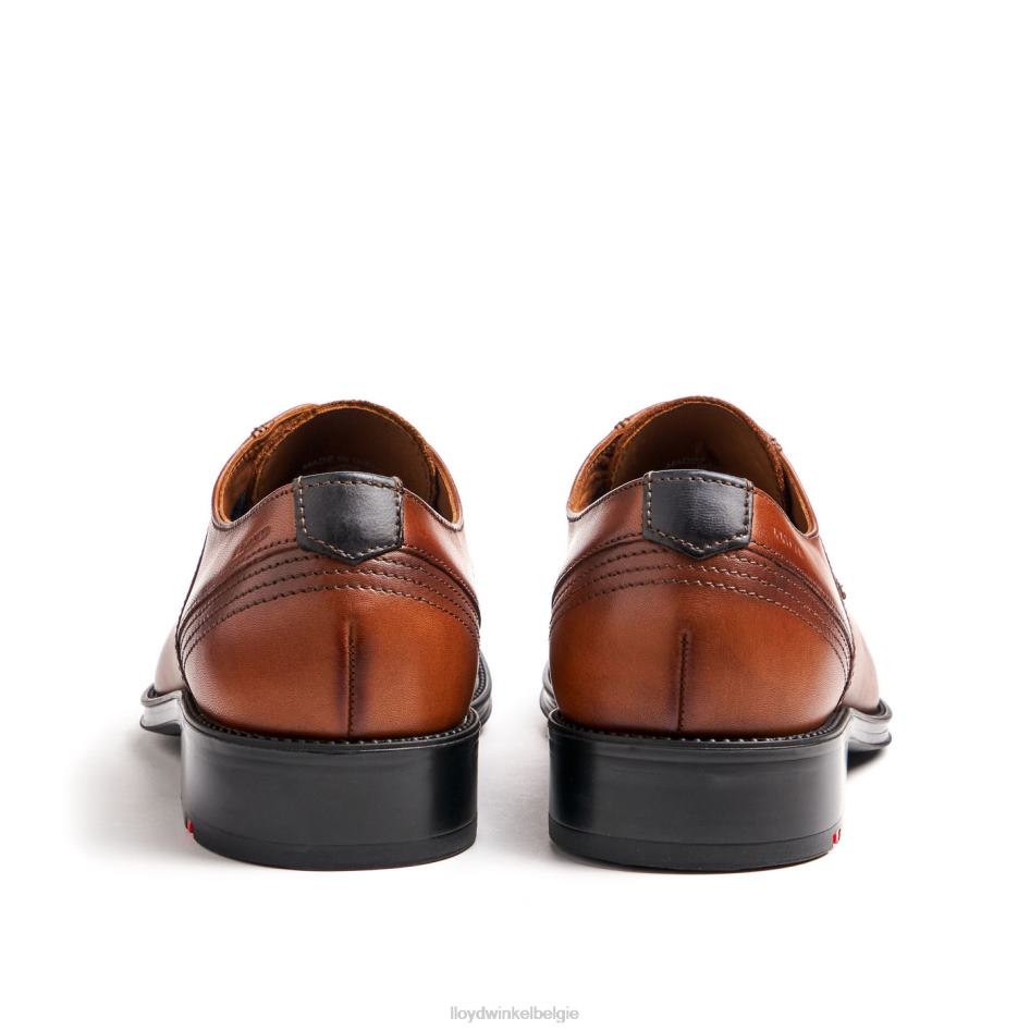 gala Heren LLOYD bruin schoenen ZJ6BL102
