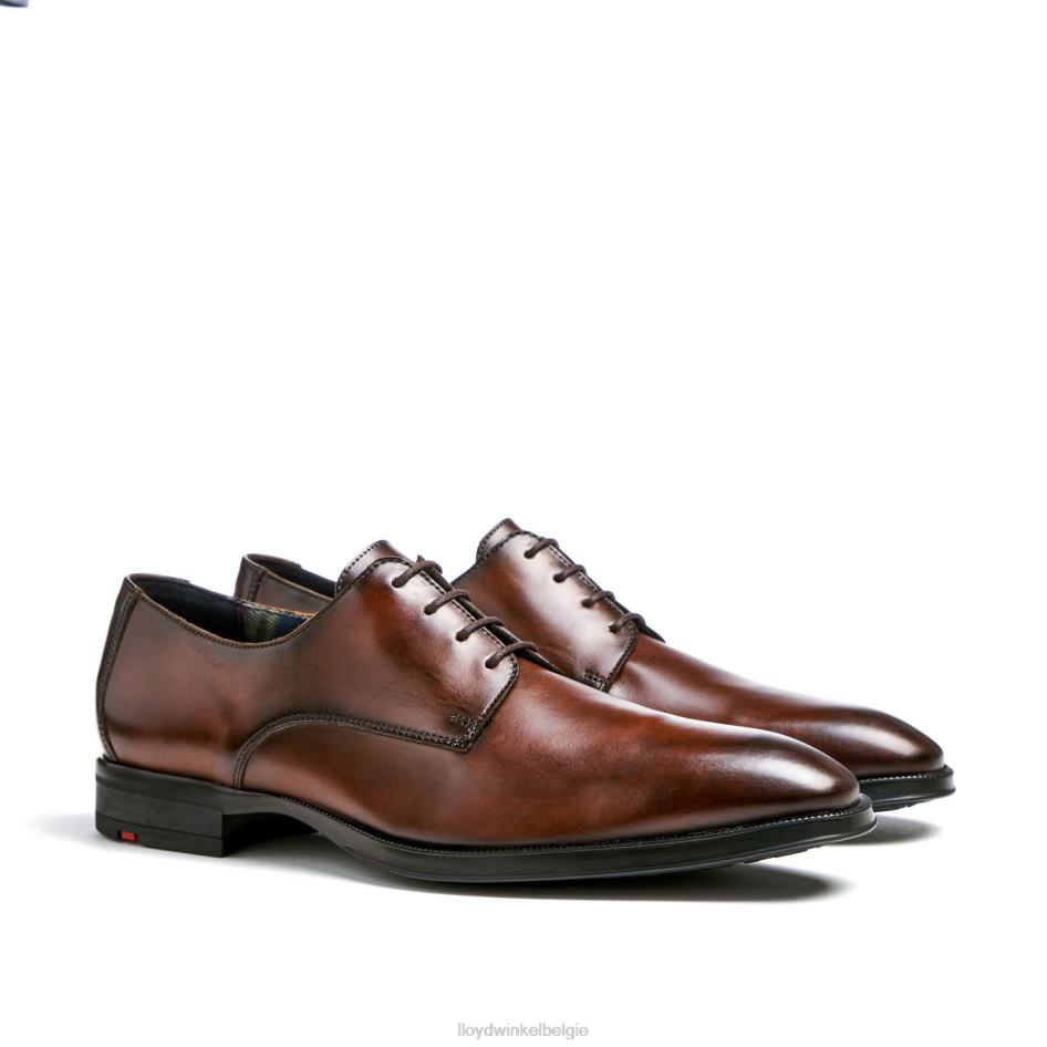 gideon Heren LLOYD bruin schoenen ZJ6BL3