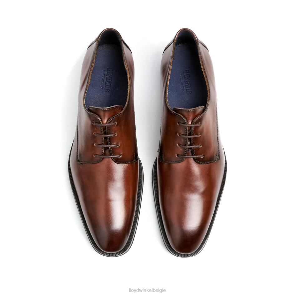 gideon Heren LLOYD bruin schoenen ZJ6BL3