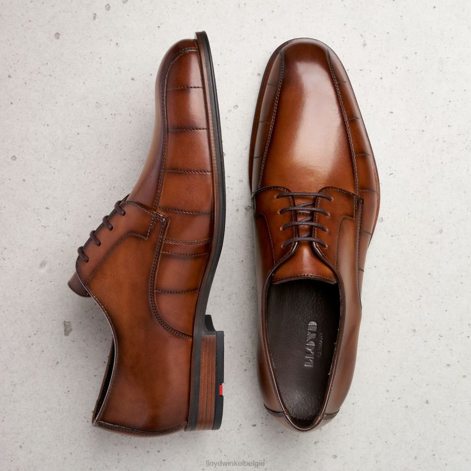 groet Heren LLOYD bruin schoenen ZJ6BL224