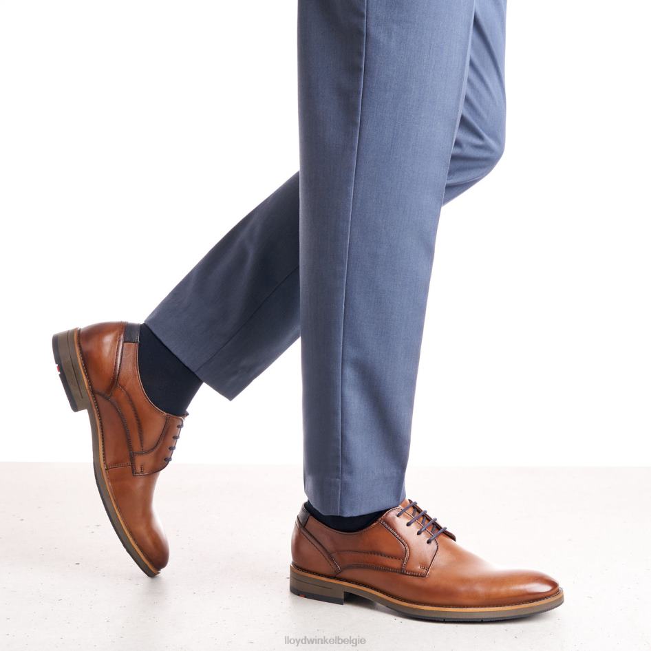 haldan Heren LLOYD bruin schoenen ZJ6BL172