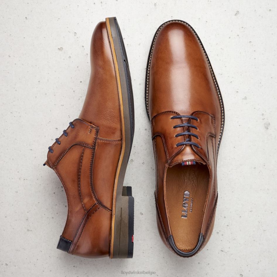 haldan Heren LLOYD bruin schoenen ZJ6BL172