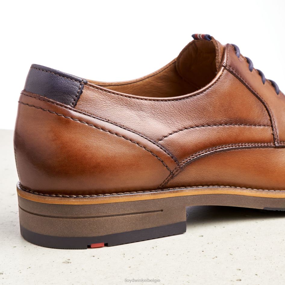 haldan Heren LLOYD bruin schoenen ZJ6BL172