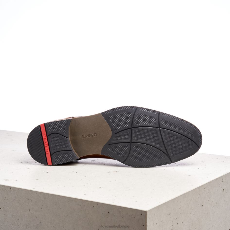 haldan Heren LLOYD bruin schoenen ZJ6BL172