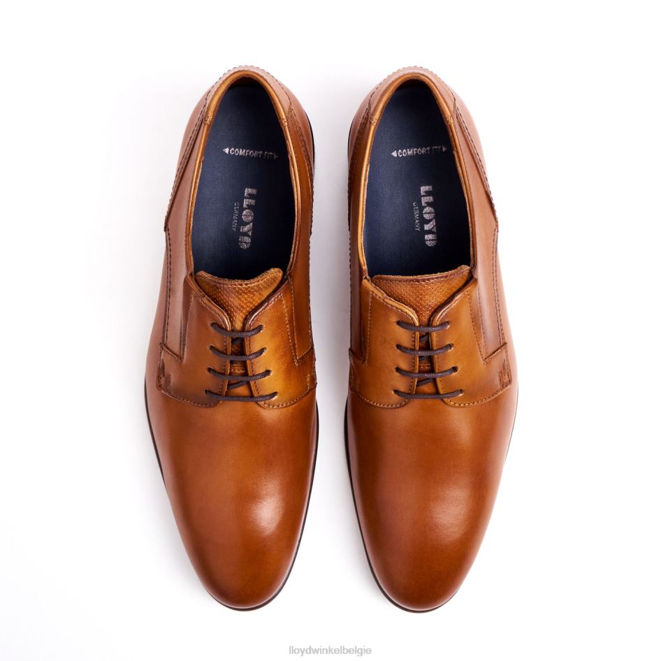 houden Heren LLOYD bruin schoenen ZJ6BL129
