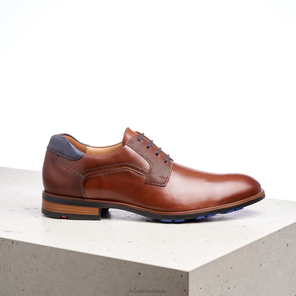 jake Heren LLOYD bruin schoenen ZJ6BL199