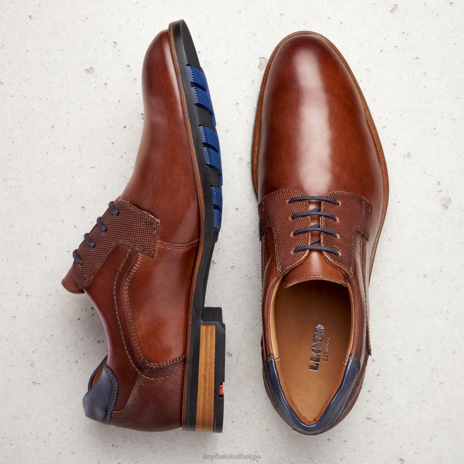 jake Heren LLOYD bruin schoenen ZJ6BL199