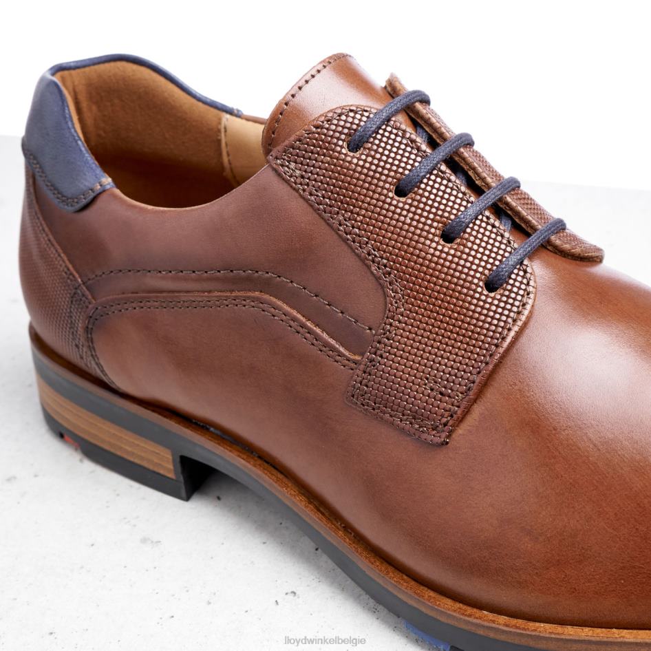 jake Heren LLOYD bruin schoenen ZJ6BL199