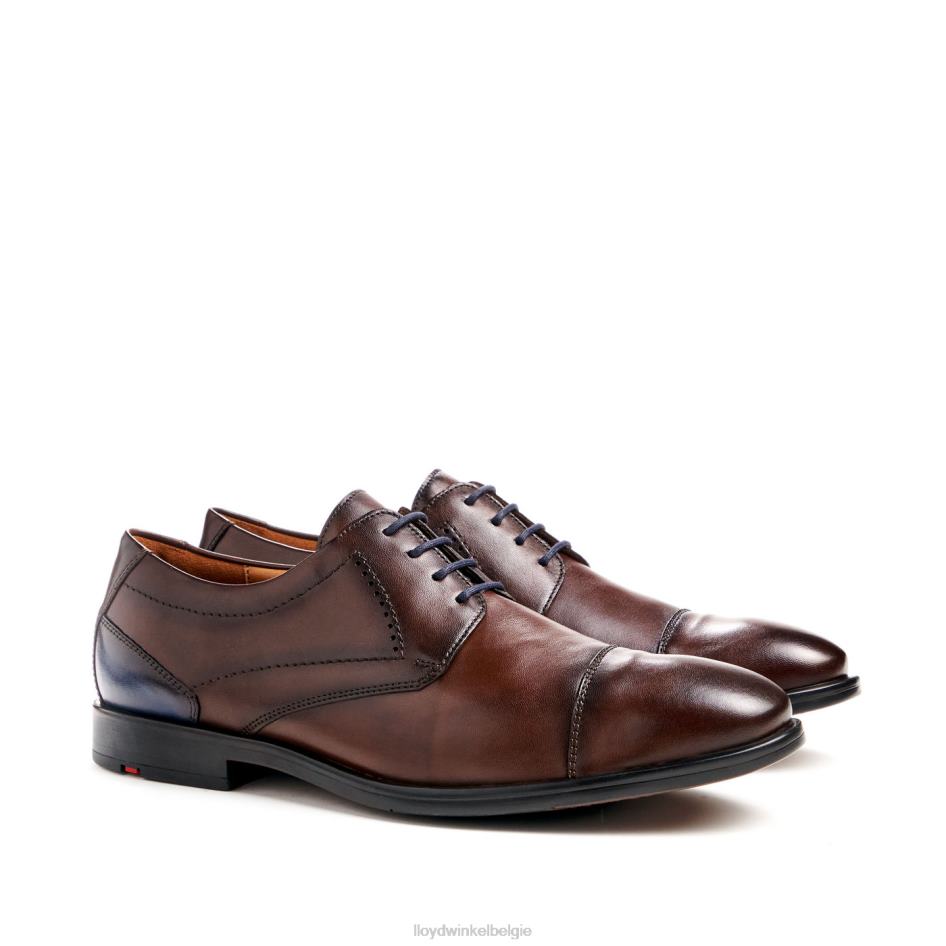 kain (xtrabreed) Heren LLOYD bruin schoenen ZJ6BL51