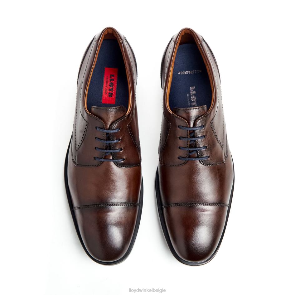 kain (xtrabreed) Heren LLOYD bruin schoenen ZJ6BL51