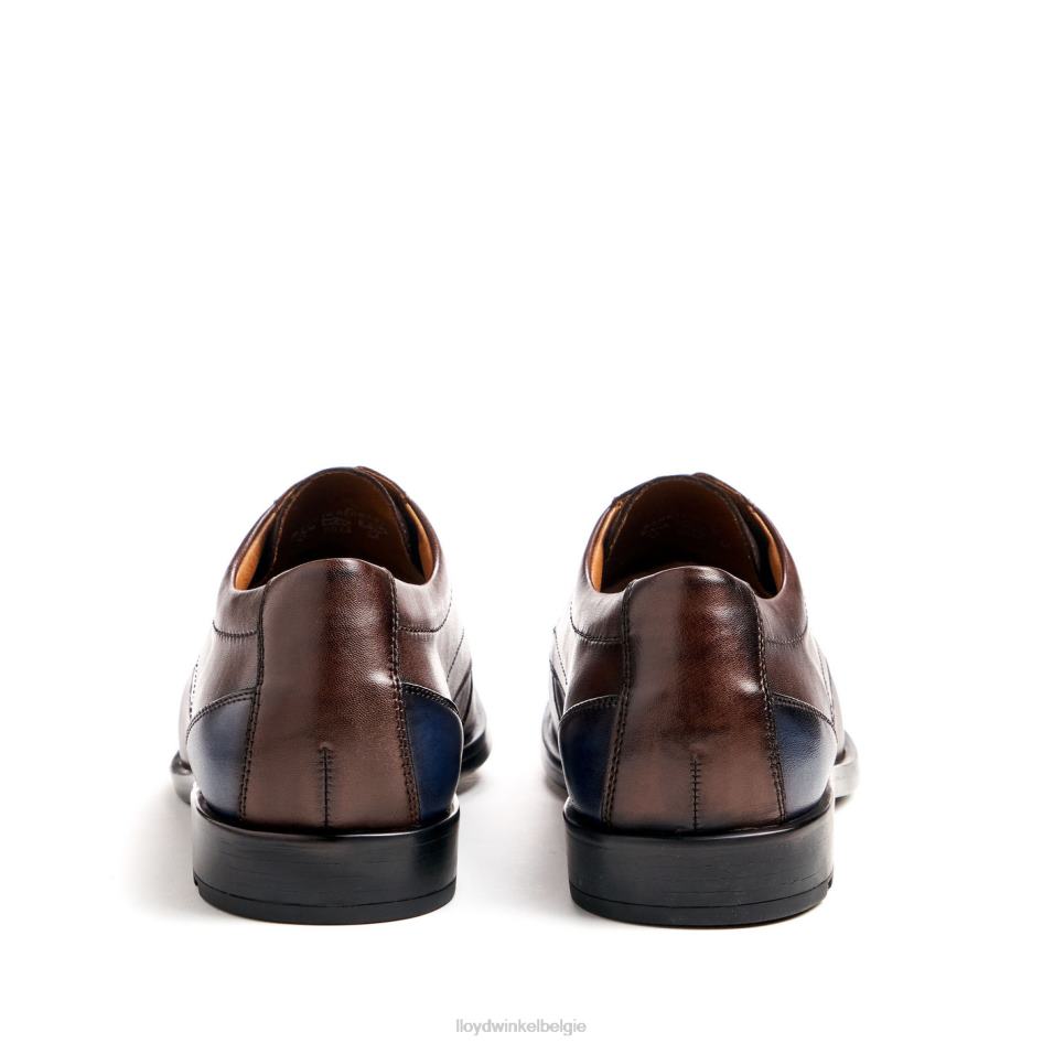 kain (xtrabreed) Heren LLOYD bruin schoenen ZJ6BL51