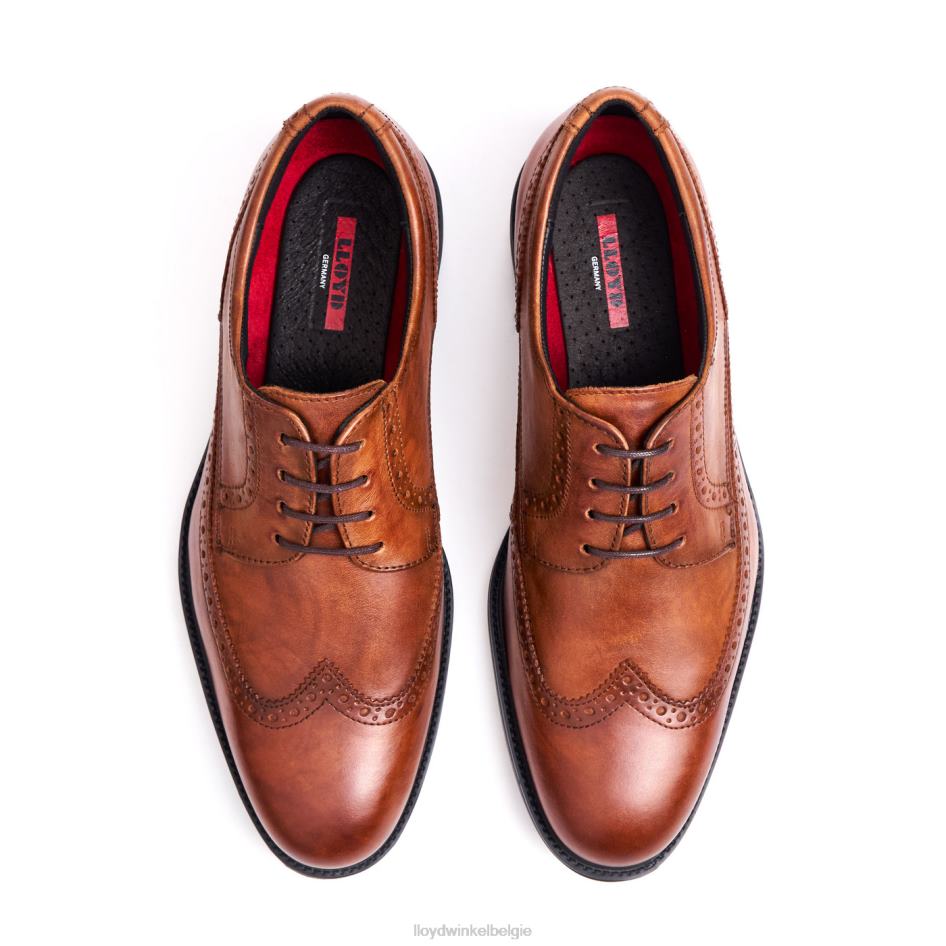 kaleb (xtrabreed) Heren LLOYD bruin schoenen ZJ6BL20