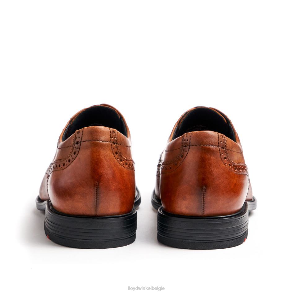 kaleb (xtrabreed) Heren LLOYD bruin schoenen ZJ6BL20