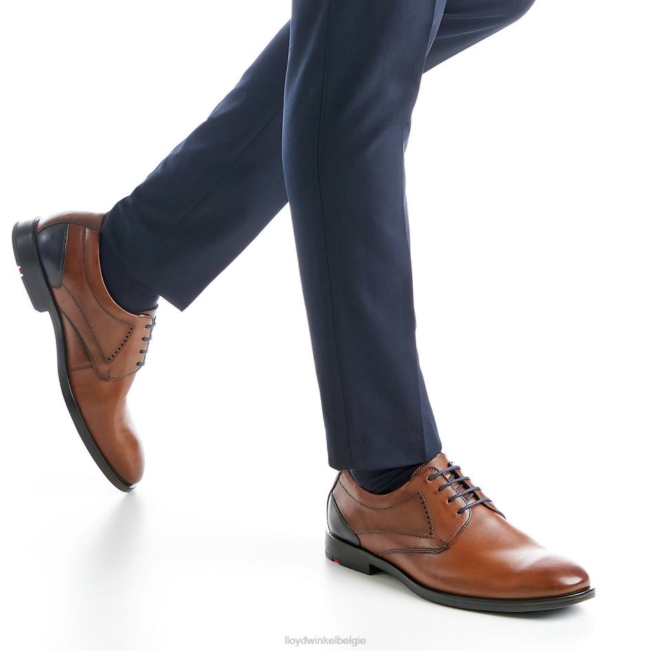 kalmar (xtrabreed) Heren LLOYD bruin schoenen ZJ6BL94