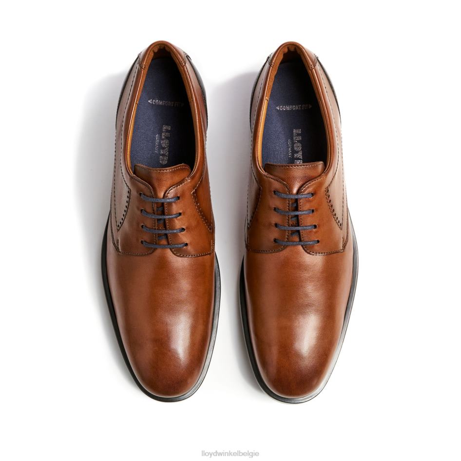 kalmar (xtrabreed) Heren LLOYD bruin schoenen ZJ6BL94