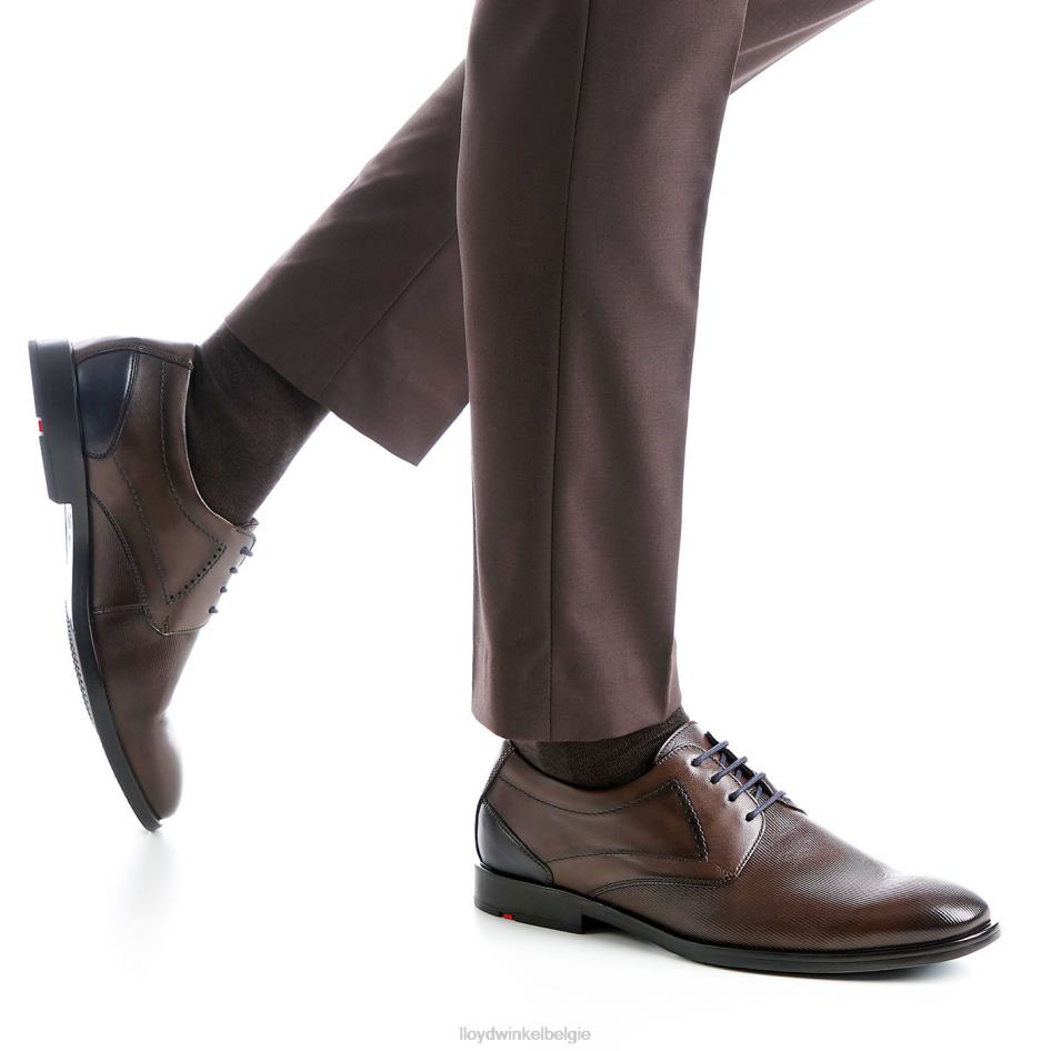 kalmat (xtrabreed) Heren LLOYD bruin schoenen ZJ6BL627