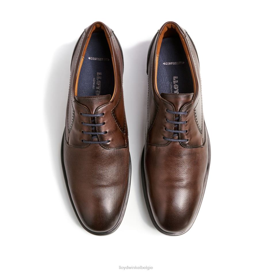 kalmat (xtrabreed) Heren LLOYD bruin schoenen ZJ6BL627