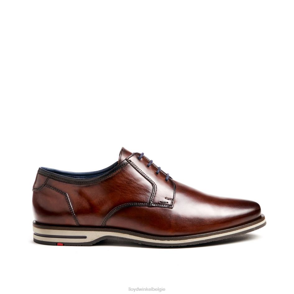 kamp (xtrabreed) Heren LLOYD bruin schoenen ZJ6BL53