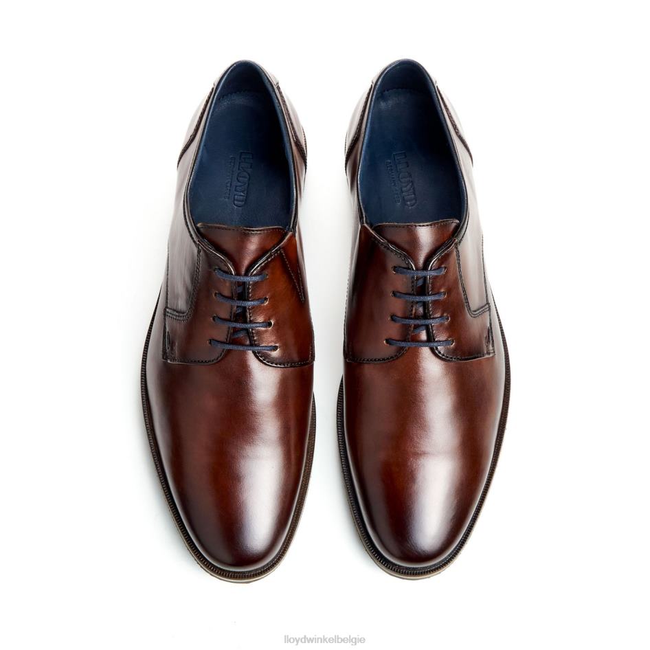 kamp (xtrabreed) Heren LLOYD bruin schoenen ZJ6BL53