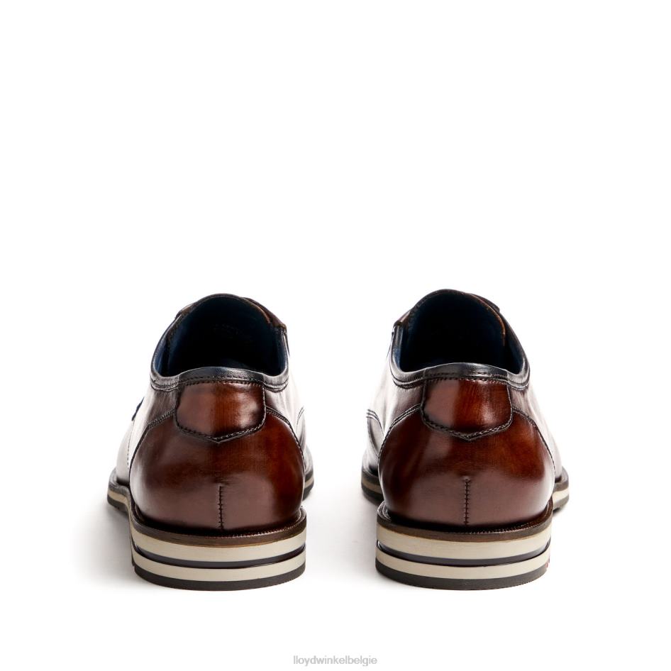 kamp (xtrabreed) Heren LLOYD bruin schoenen ZJ6BL53