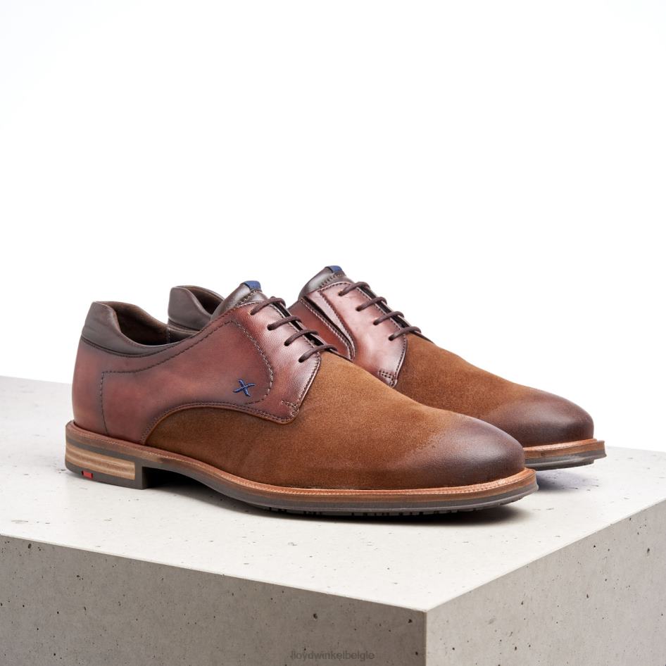 kauna's (xtrawide) Heren LLOYD bruin schoenen ZJ6BL228