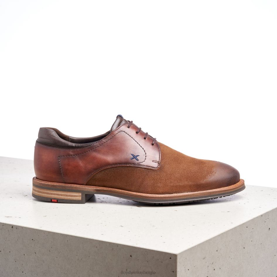 kauna's (xtrawide) Heren LLOYD bruin schoenen ZJ6BL228