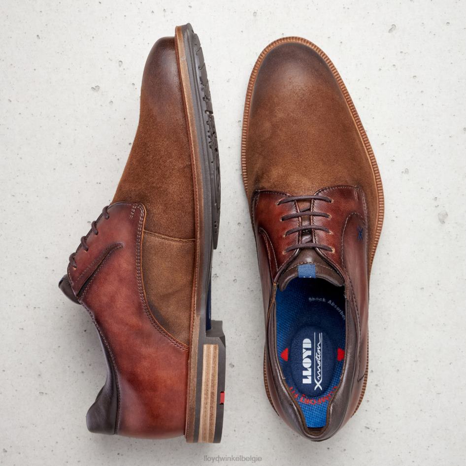 kauna's (xtrawide) Heren LLOYD bruin schoenen ZJ6BL228