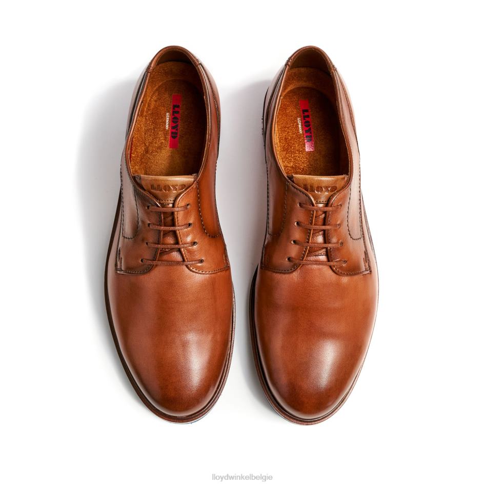 keast (xtrabreed) Heren LLOYD bruin schoenen ZJ6BL207