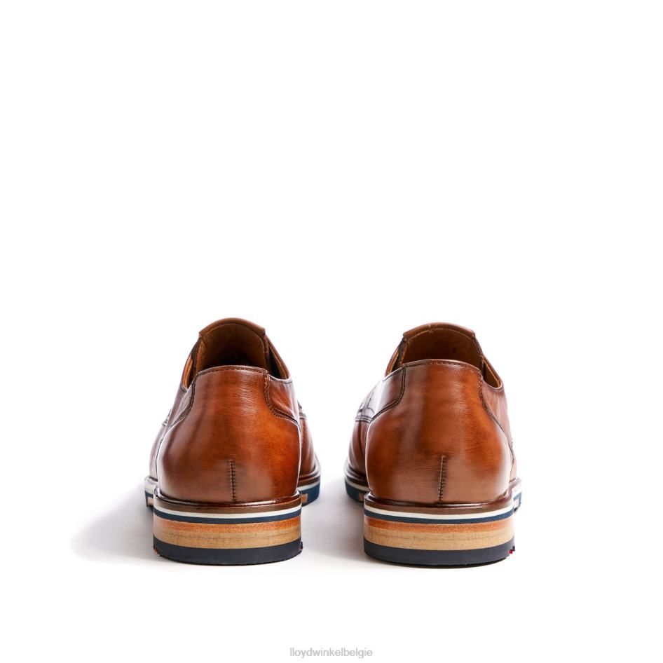 keast (xtrabreed) Heren LLOYD bruin schoenen ZJ6BL207