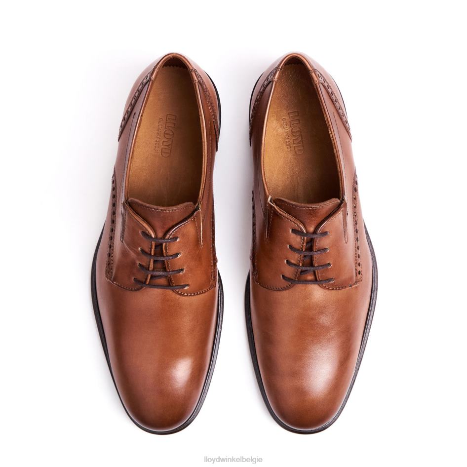 koog (xtrabreed) Heren LLOYD bruin schoenen ZJ6BL75