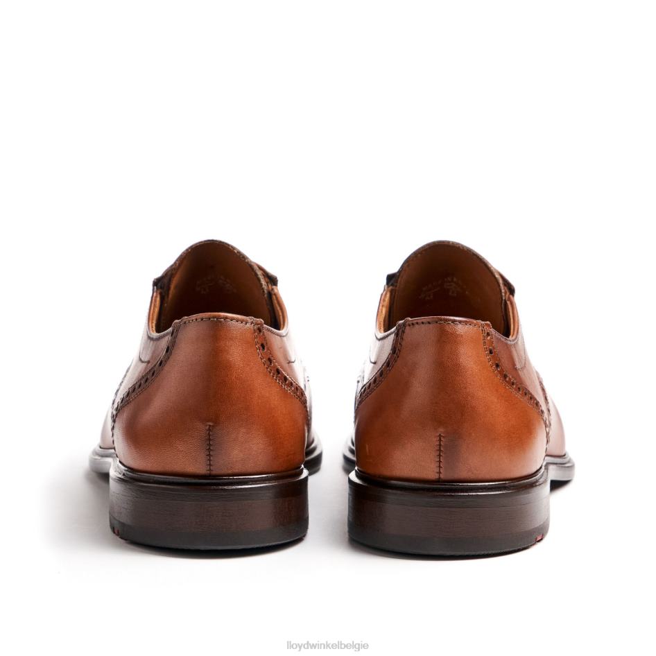 koog (xtrabreed) Heren LLOYD bruin schoenen ZJ6BL75