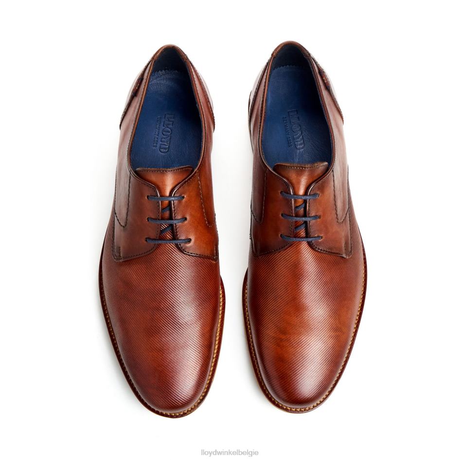 laval Heren LLOYD bruin schoenen ZJ6BL41