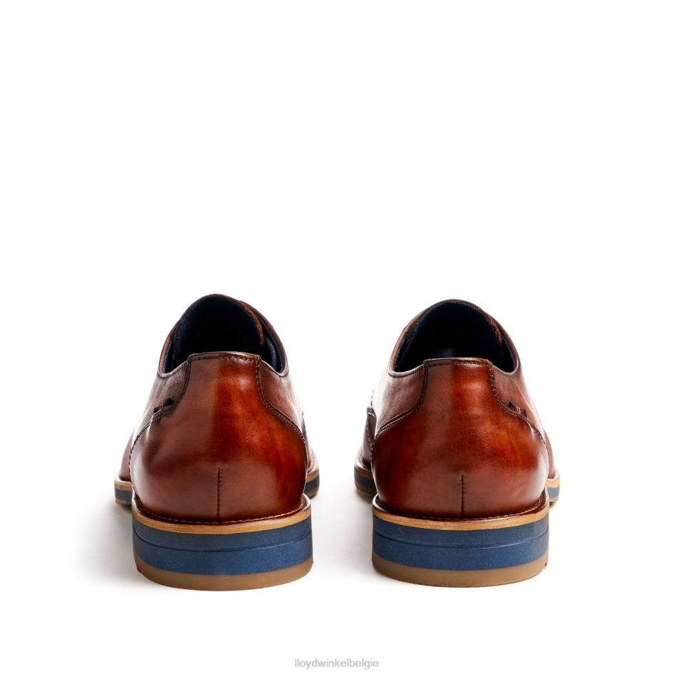 laval Heren LLOYD bruin schoenen ZJ6BL41