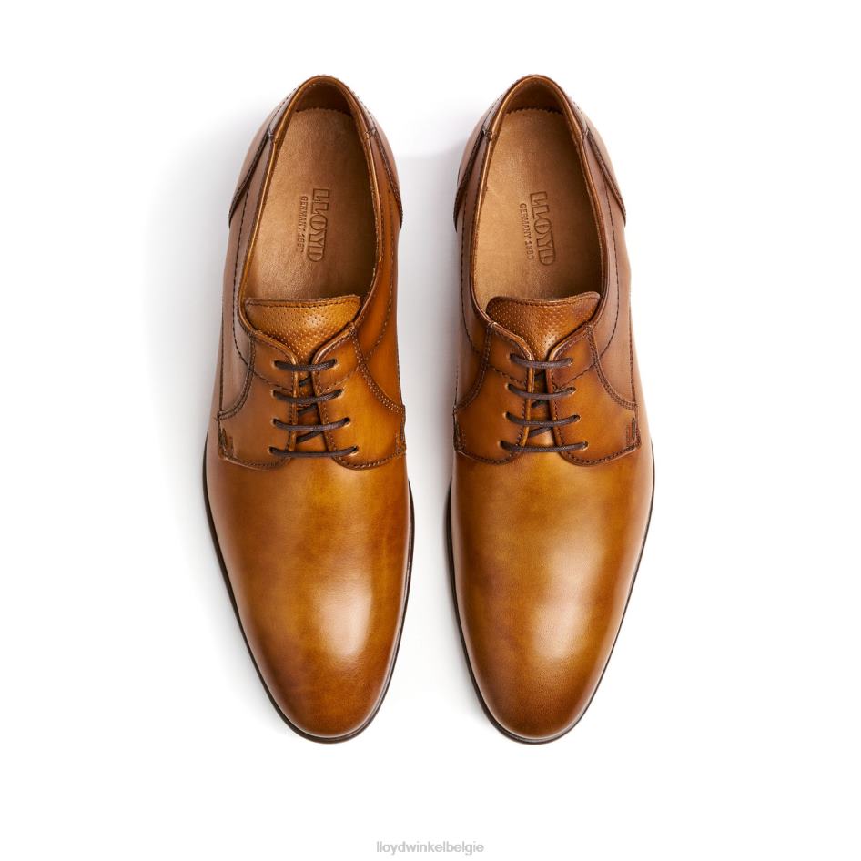 manon Heren LLOYD bruin schoenen ZJ6BL118