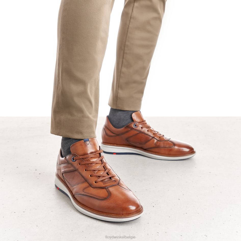 matten Heren LLOYD bruin schoenen ZJ6BL261