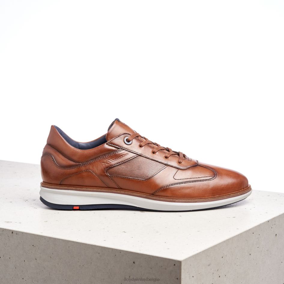matten Heren LLOYD bruin schoenen ZJ6BL261