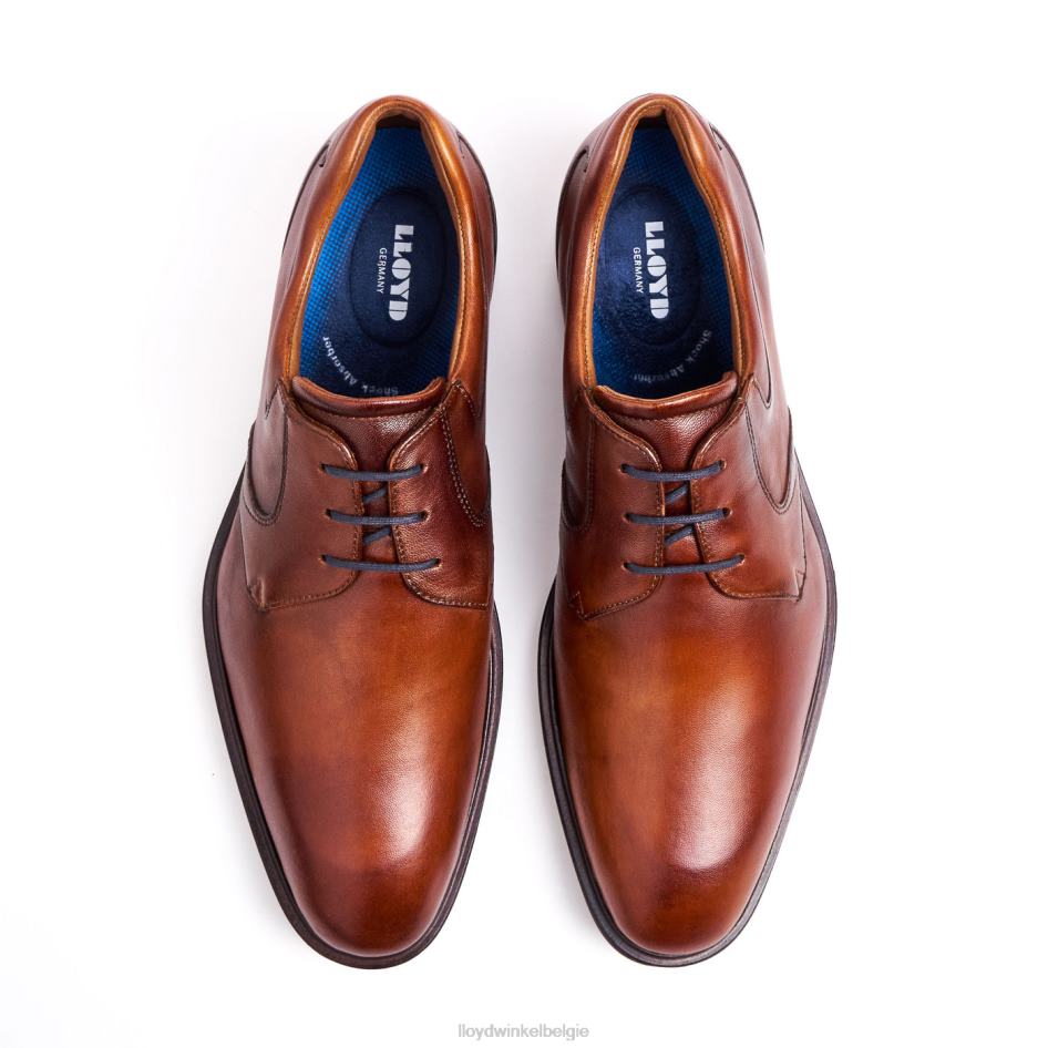 monty Heren LLOYD bruin schoenen ZJ6BL134