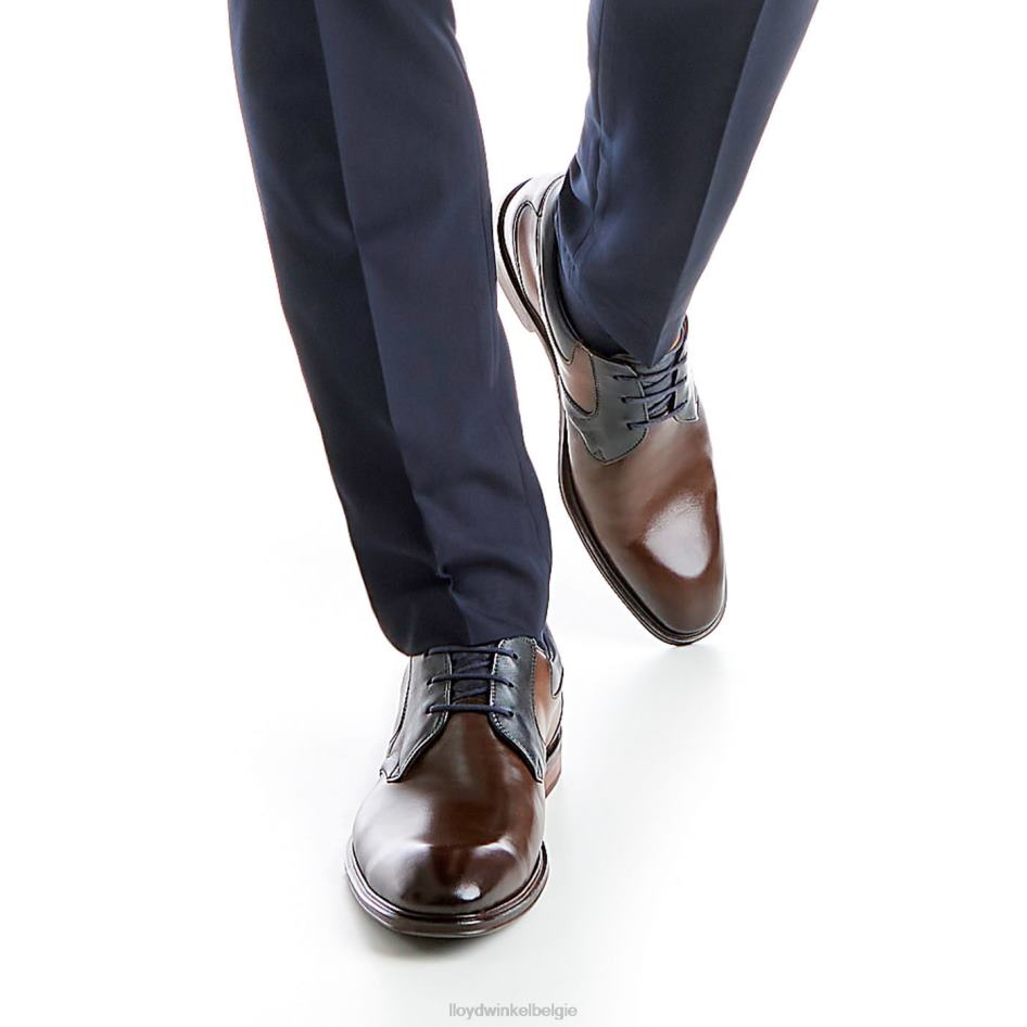 monty Heren LLOYD bruin schoenen ZJ6BL227