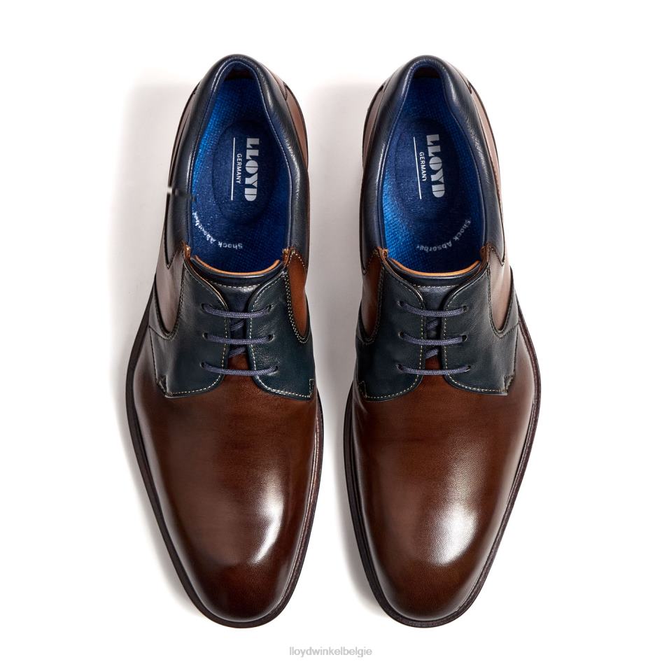 monty Heren LLOYD bruin schoenen ZJ6BL227