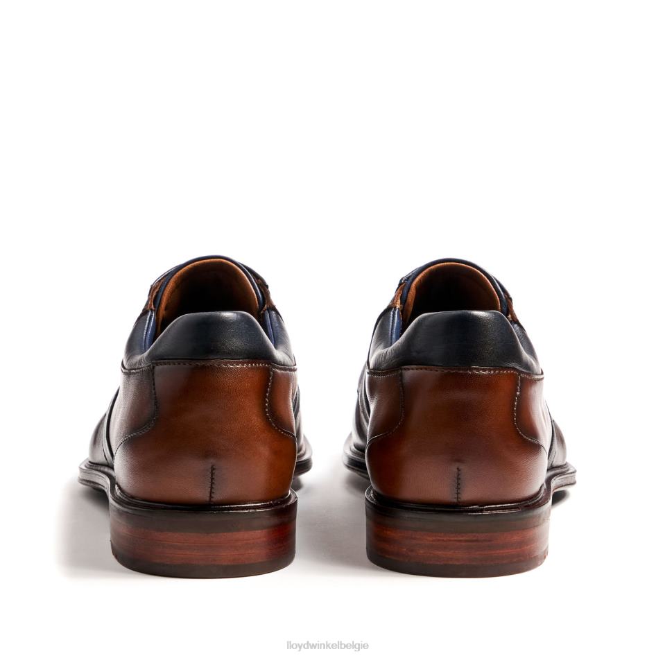 monty Heren LLOYD bruin schoenen ZJ6BL227