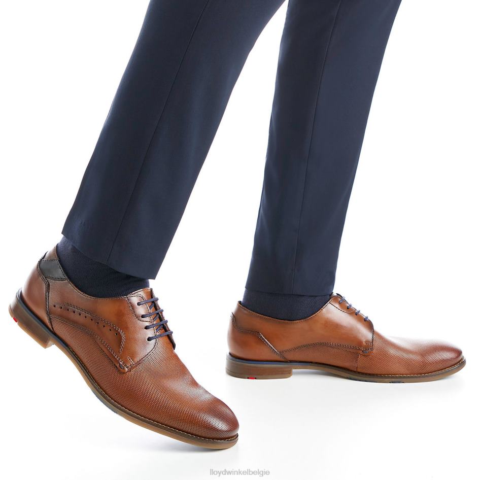 namir Heren LLOYD bruin schoenen ZJ6BL217