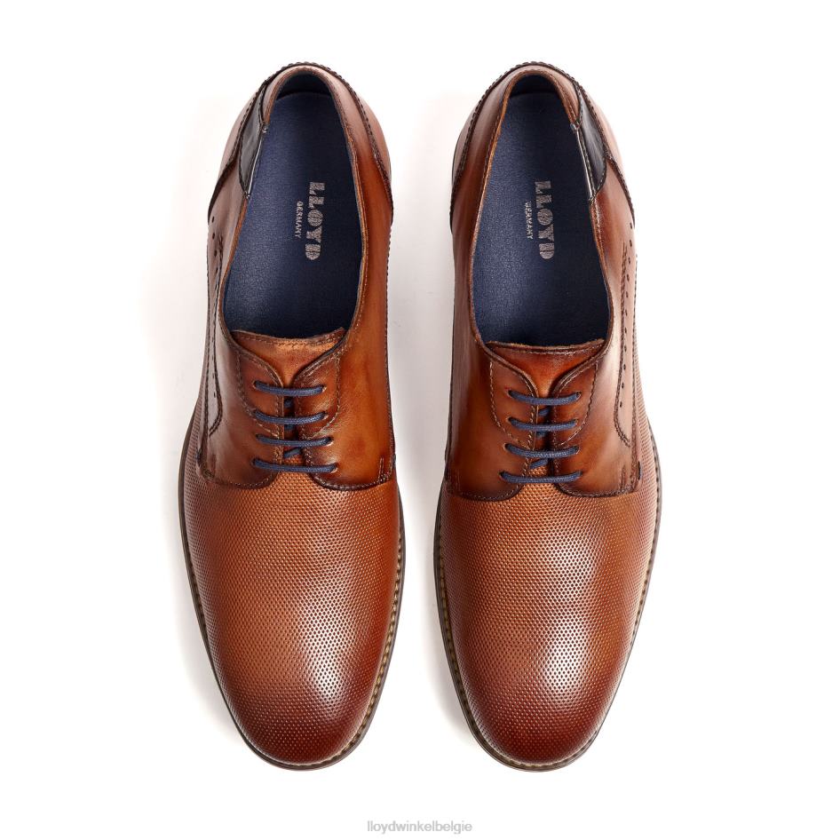 namir Heren LLOYD bruin schoenen ZJ6BL217